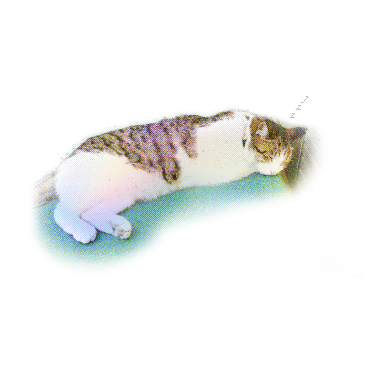 猫、寝転ぶワンポイント Tシャツ
