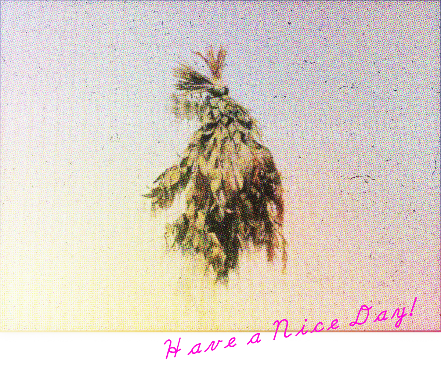 【バックプリント】Botanical photo Tシャツ