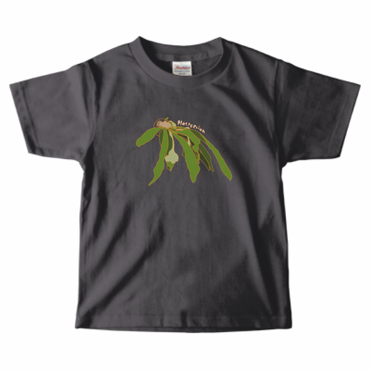 【キッズ】ビカクシダTシャツ