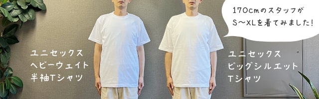 同一モデルの通常Tシャツ着画